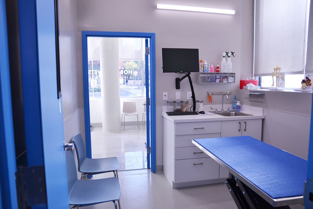 hoboken vets animal clinic 2 1024x683
