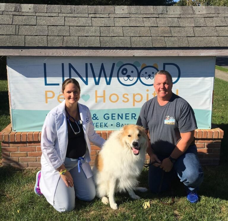 linwood pet hospital 5 768x745