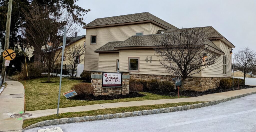 little falls animal hospital 3 1024x531