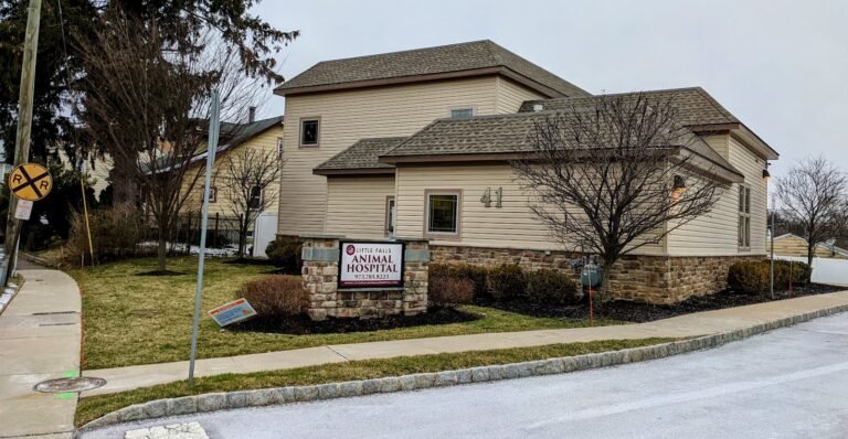 little falls animal hospital 3 768x398