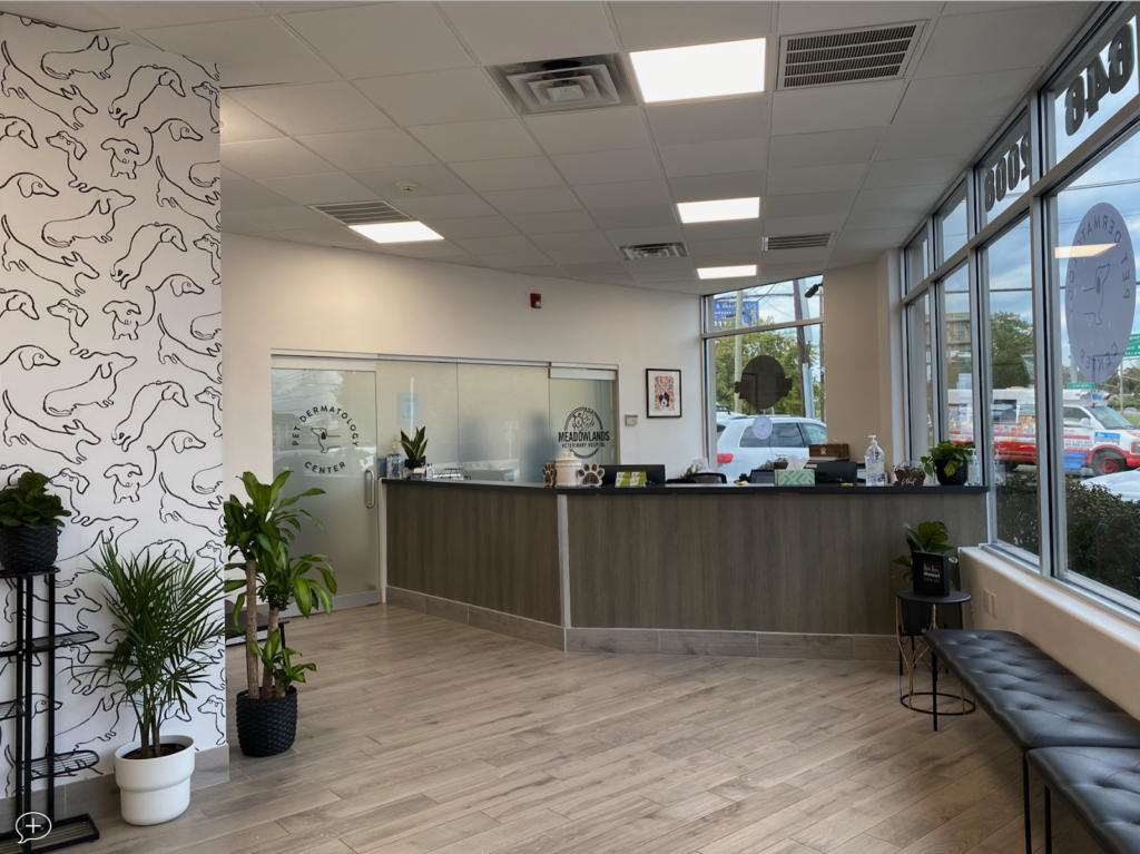 meadowlands veterinary hospital 2 1024x767