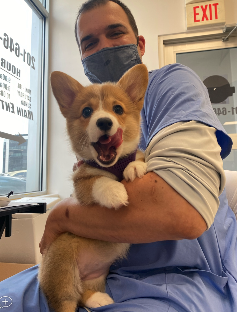meadowlands veterinary hospital 3 780x1024
