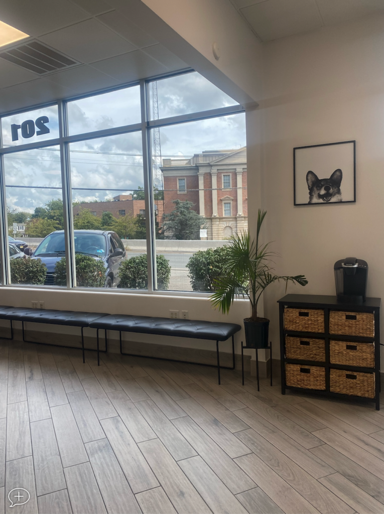 meadowlands veterinary hospital 5 765x1024