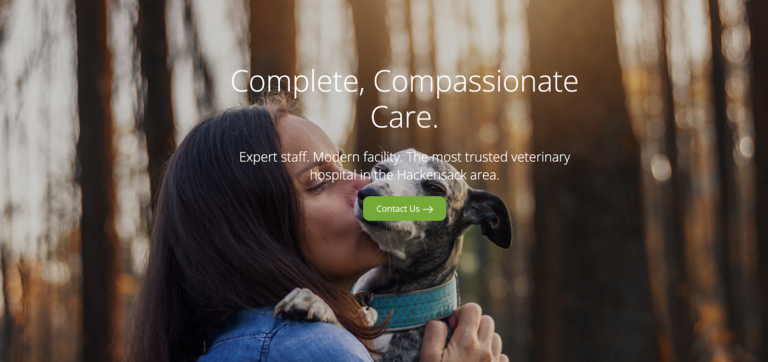 meadowlands veterinary hospital 768x362