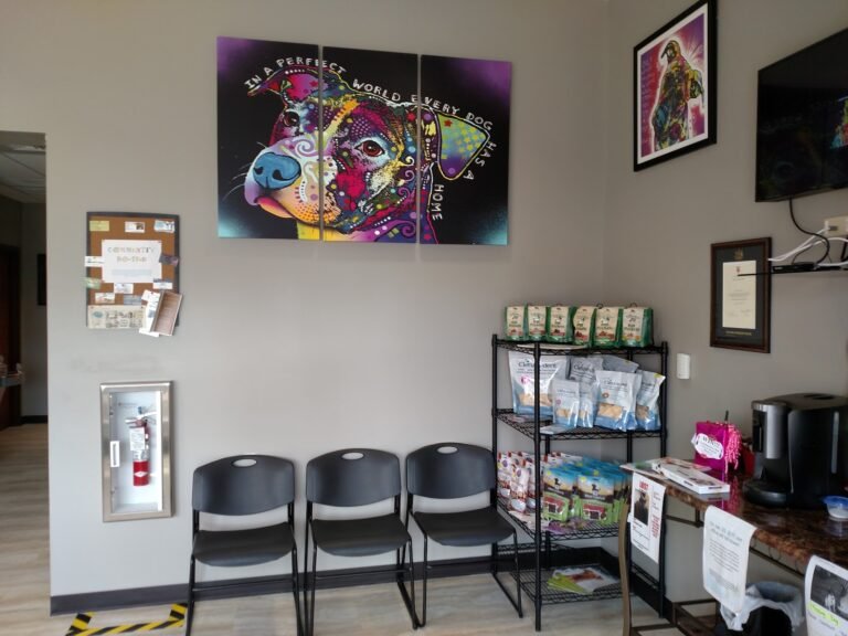mills veterinary care 4 768x576