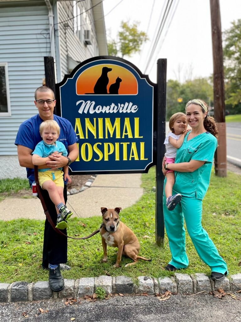 montville animal hospital 2 768x1024