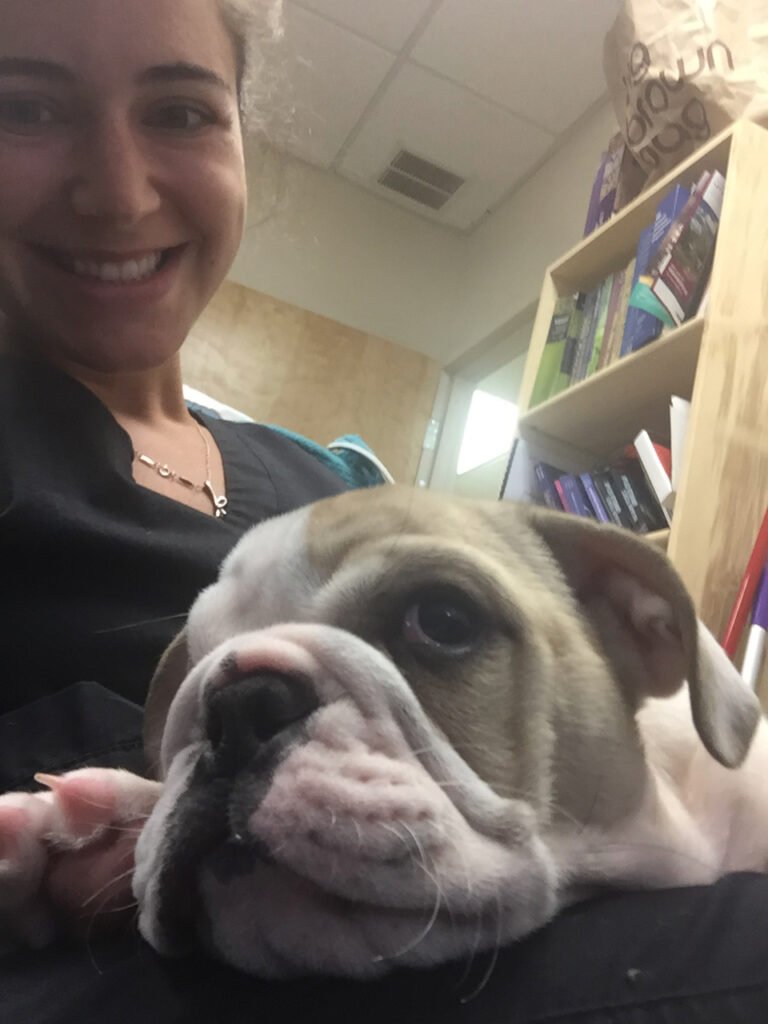 montville animal hospital 4 768x1024