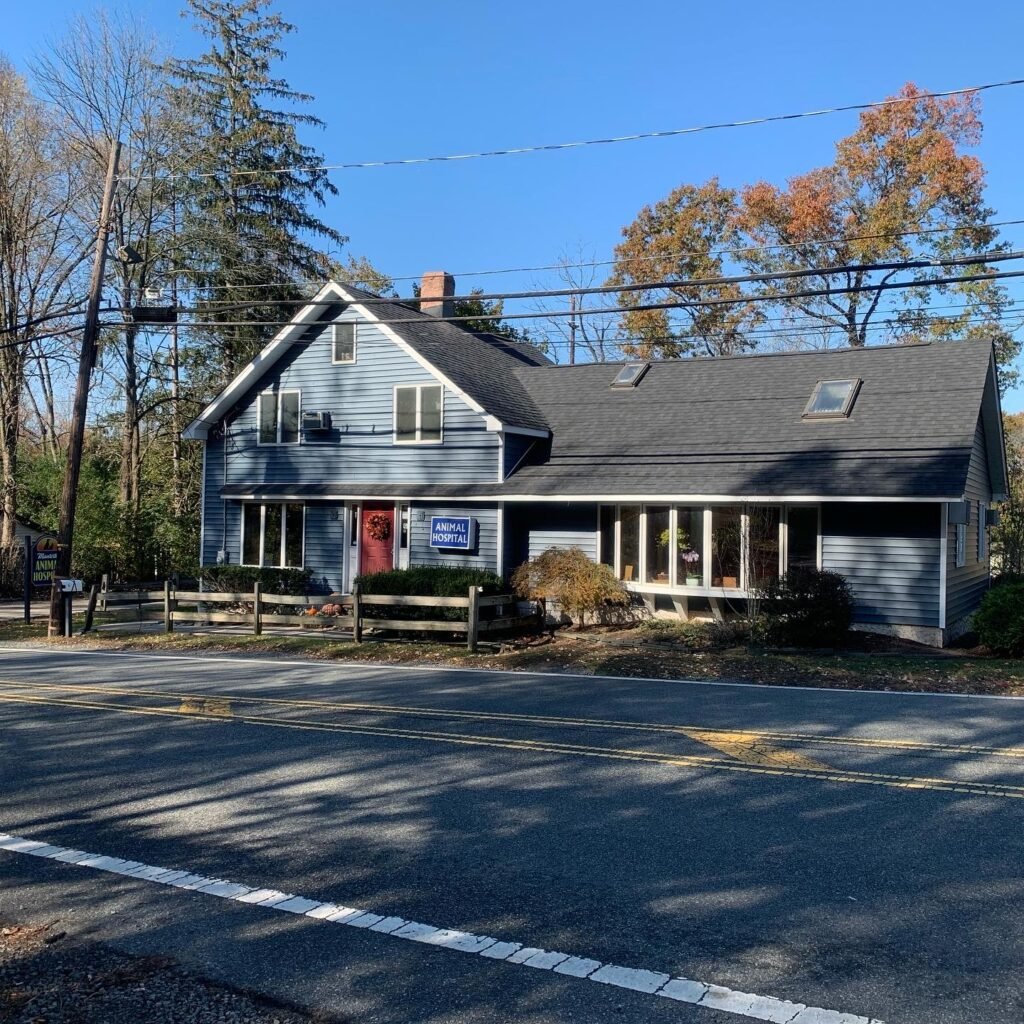 montville animal hospital 5 1024x1024