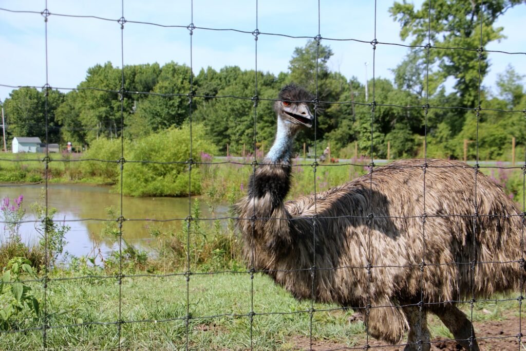 mount laurel animal hospital 3 1024x683
