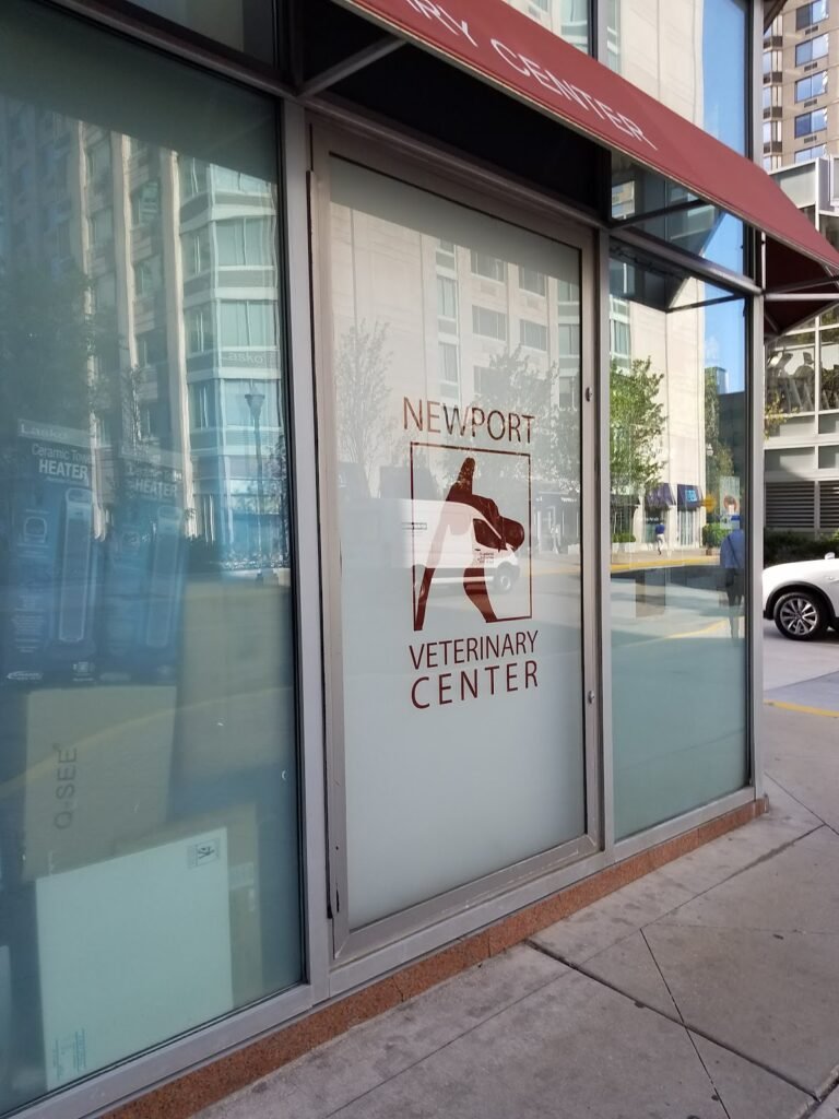 newport veterinary center 1 768x1024