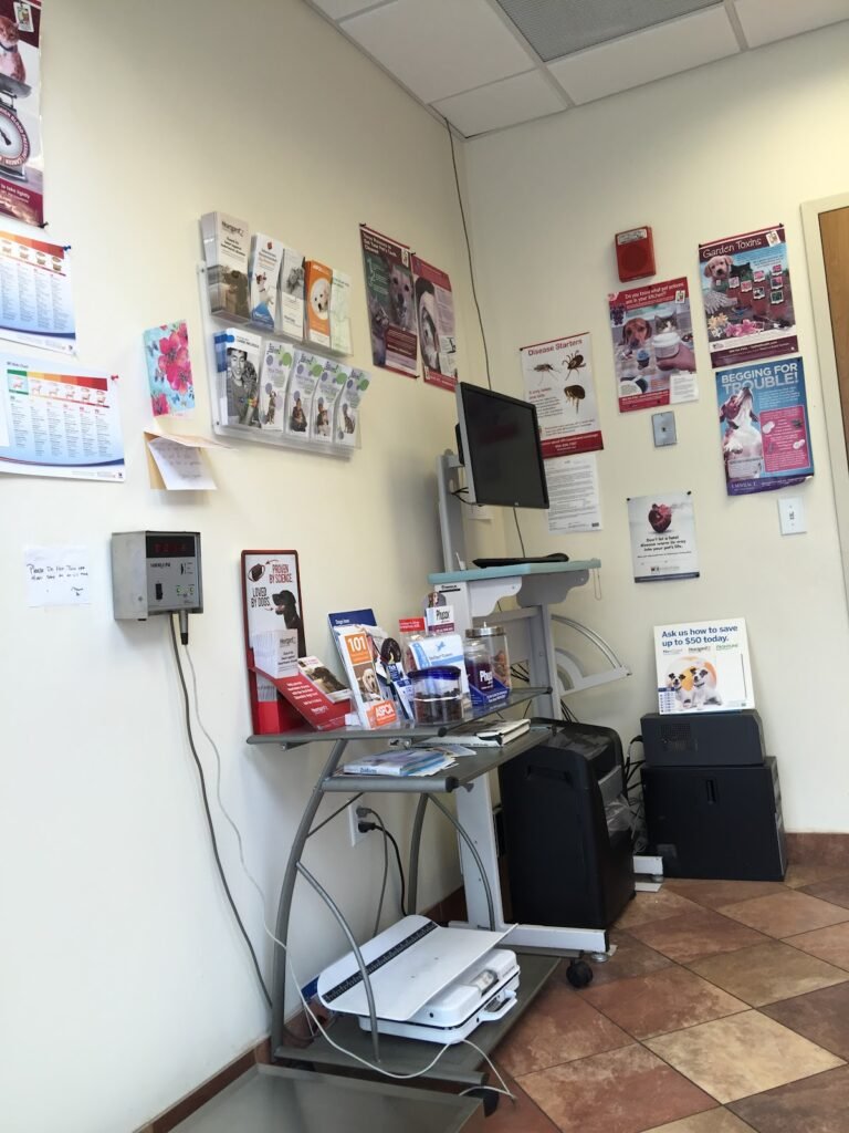 newport veterinary center 2 768x1024