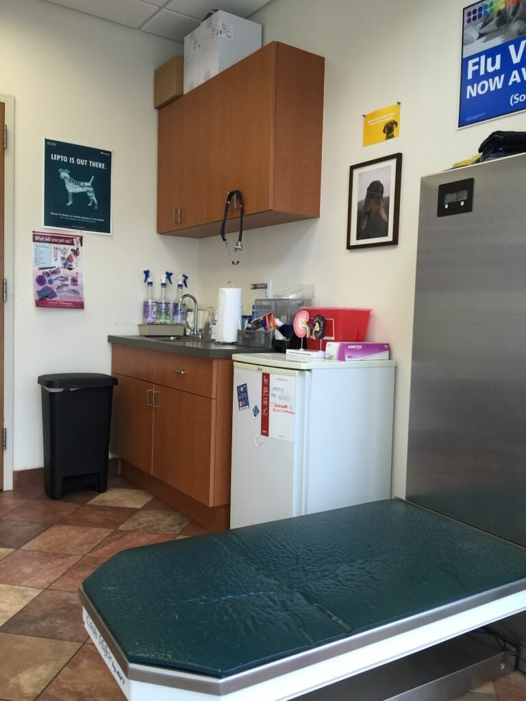newport veterinary center 4 768x1024