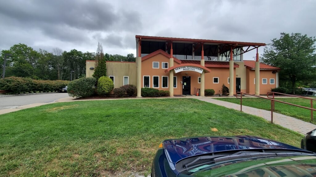 newton veterinary hospital 4 1024x576