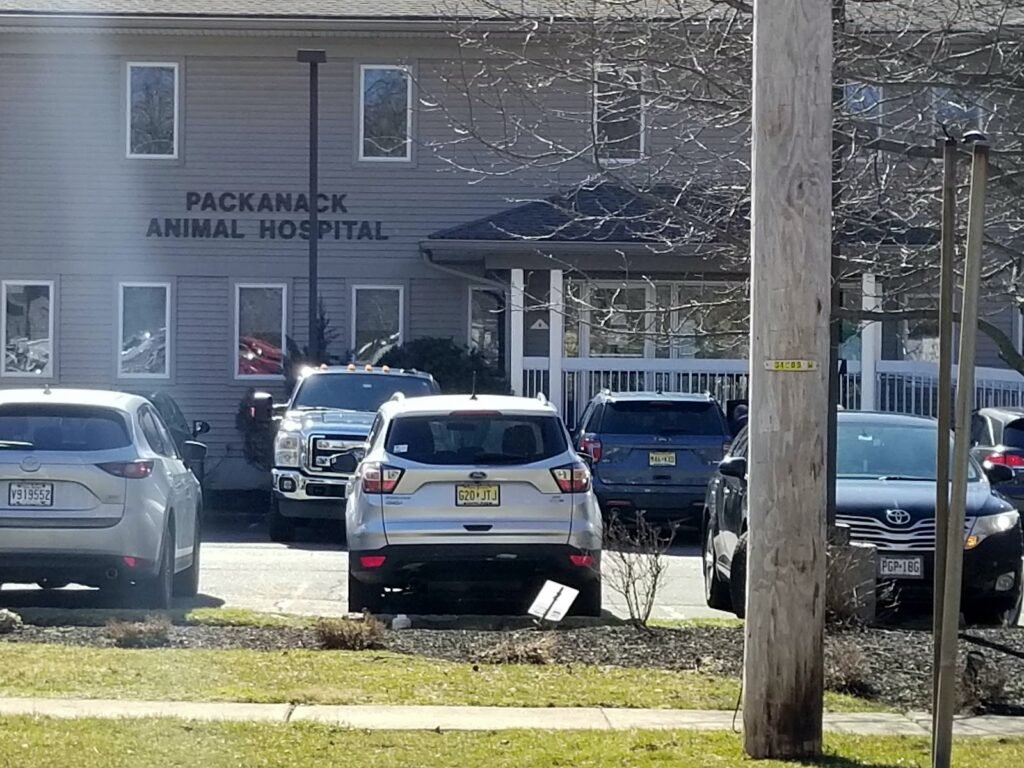 packanack animal hospital 4 1024x768