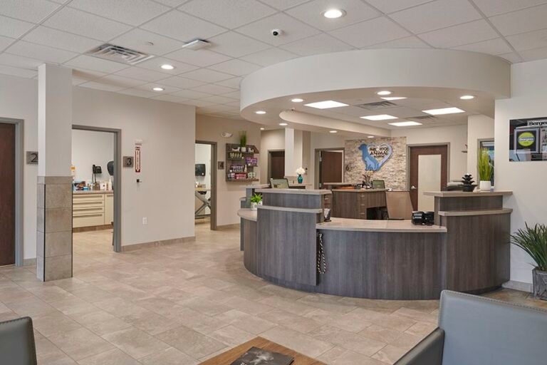 park ridge animal hospital 4 768x512