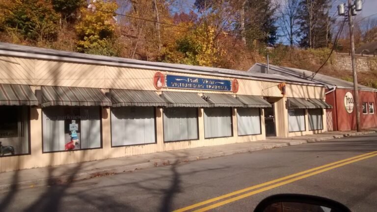 park view veterinary hospital 3 768x432