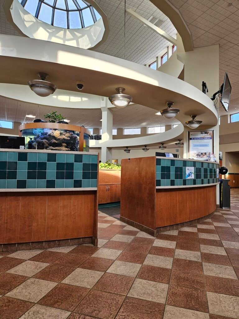 red bank veterinary hospital 4 1 768x1024