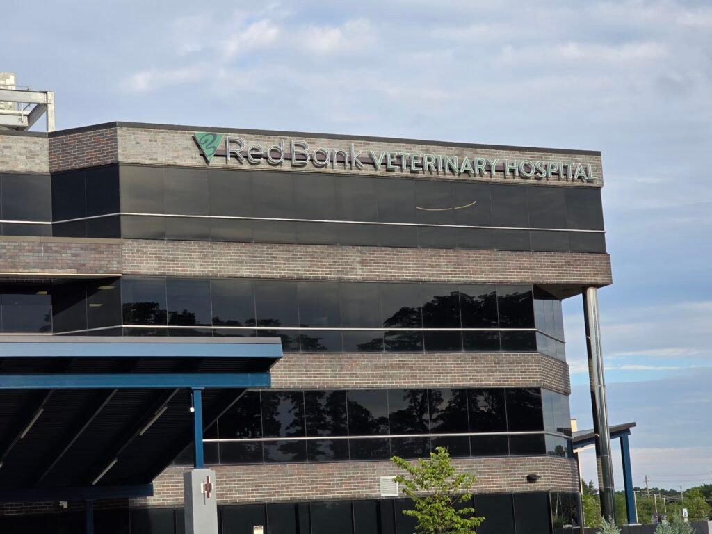 red bank veterinary hospital 5 1 1024x768