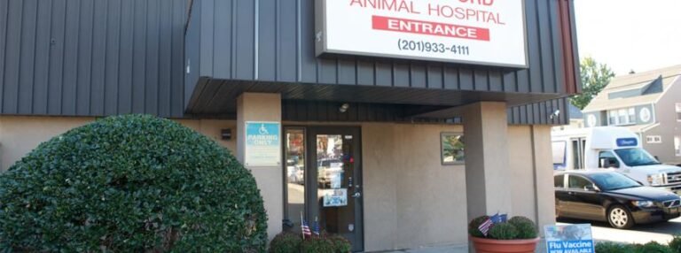rutherford animal hospital 2 768x286