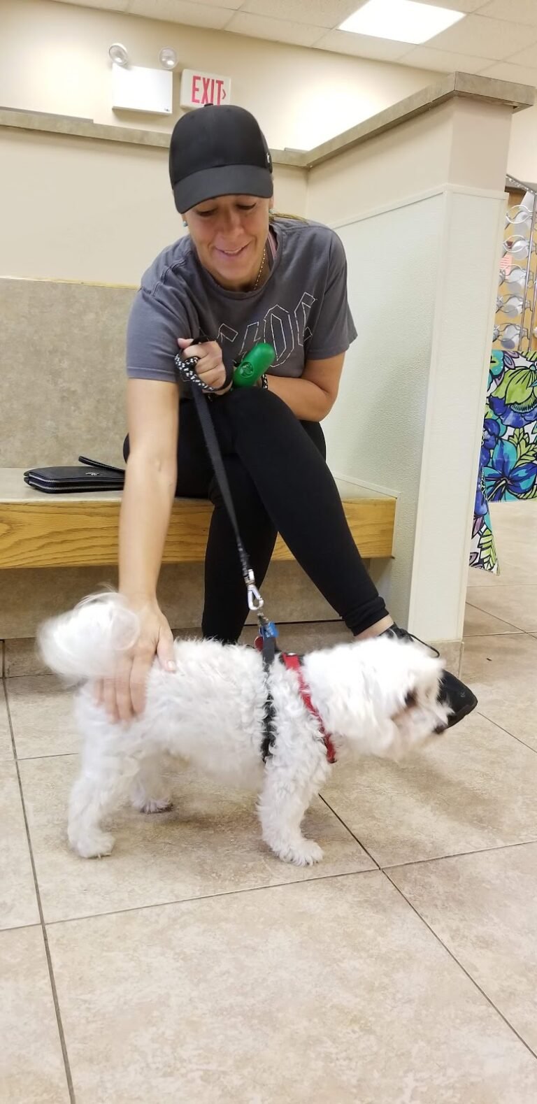 rutherford animal hospital 4 768x1579