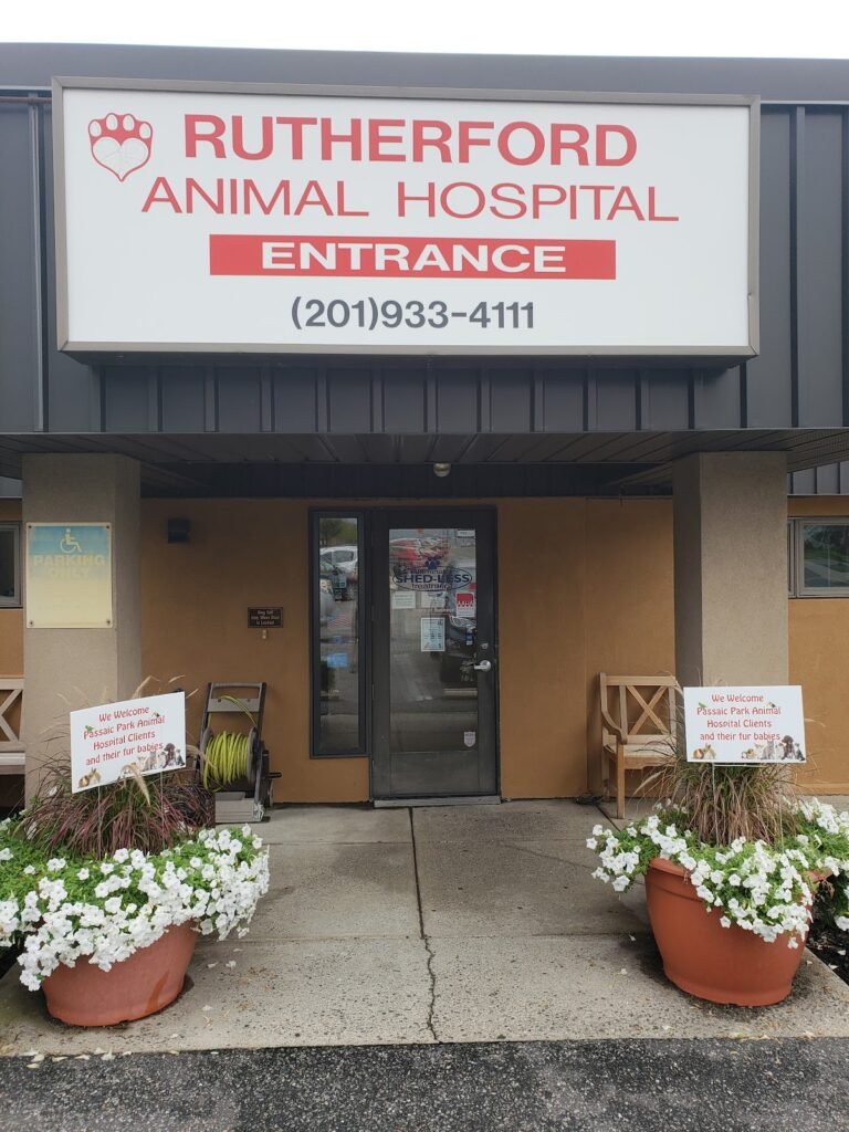 rutherford animal hospital 5 768x1024