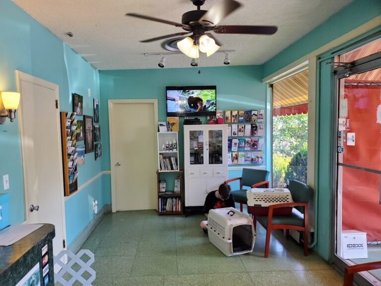 sea girt animal hospital 5 768x576