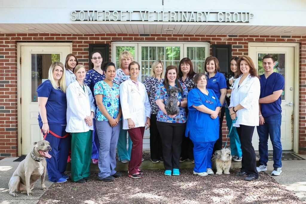 somerset veterinary group 2 1024x683