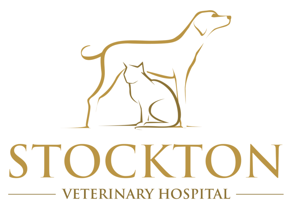 stockton veterinary hospital 1024x730