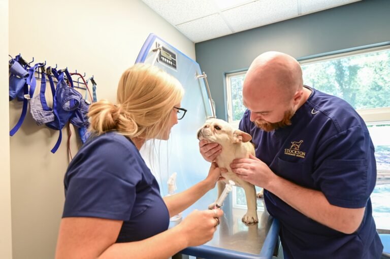 stockton veterinary hospital 2 768x511