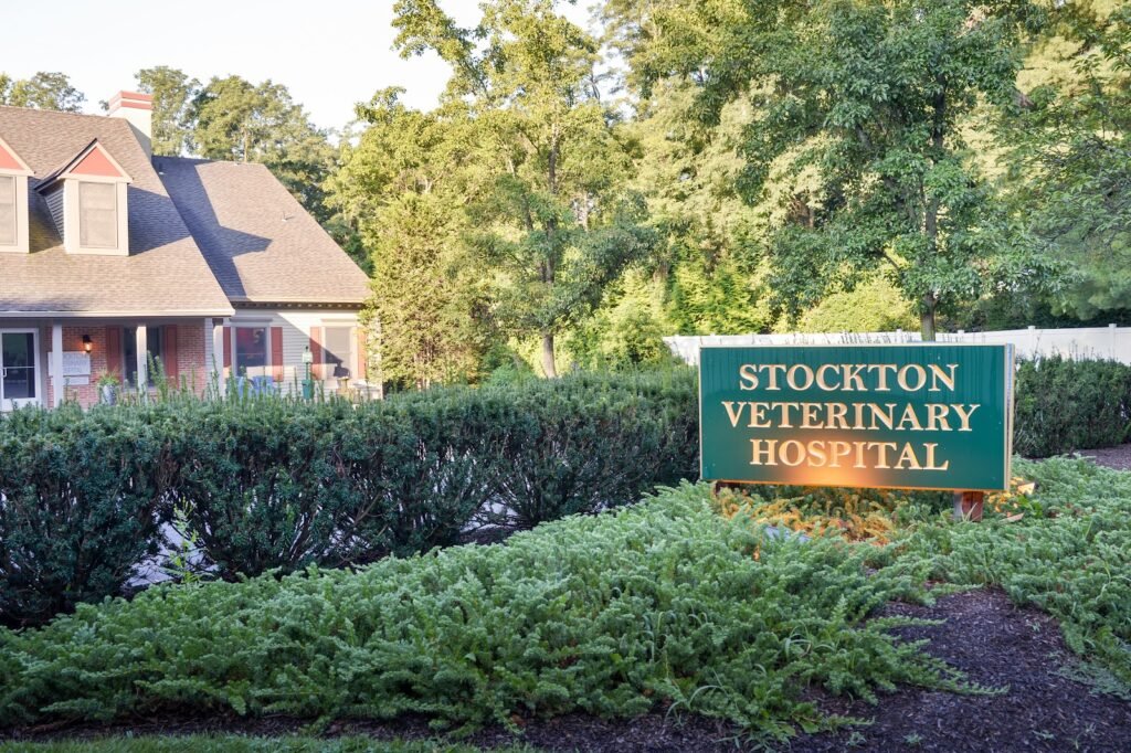 stockton veterinary hospital 4 1024x682