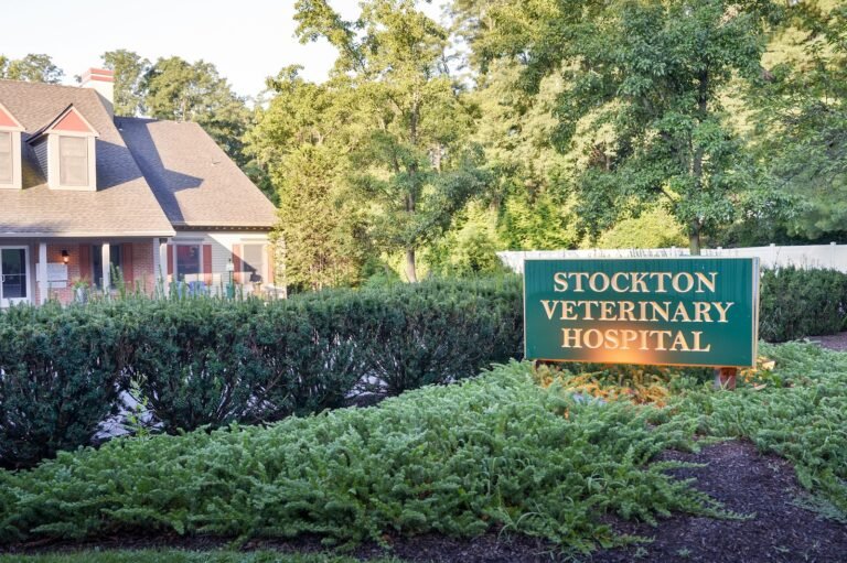stockton veterinary hospital 4 768x511