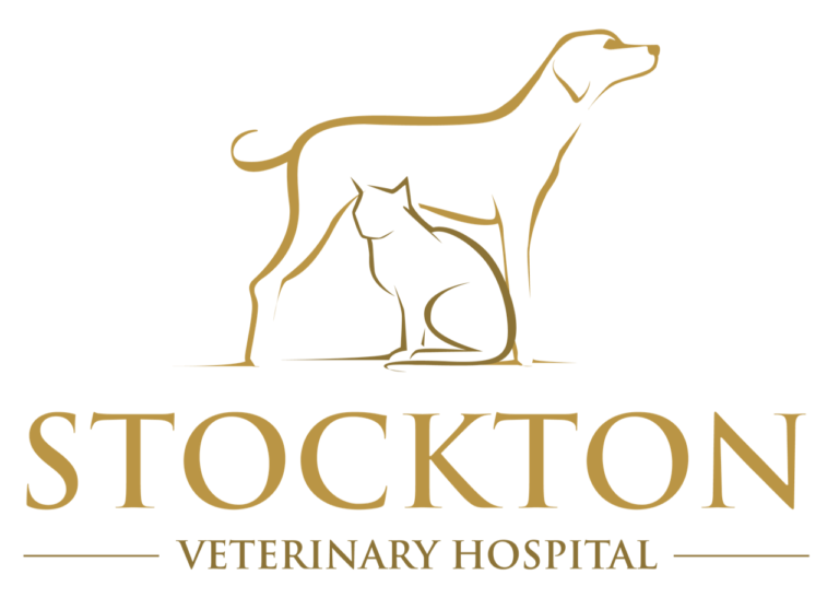 stockton veterinary hospital 768x547