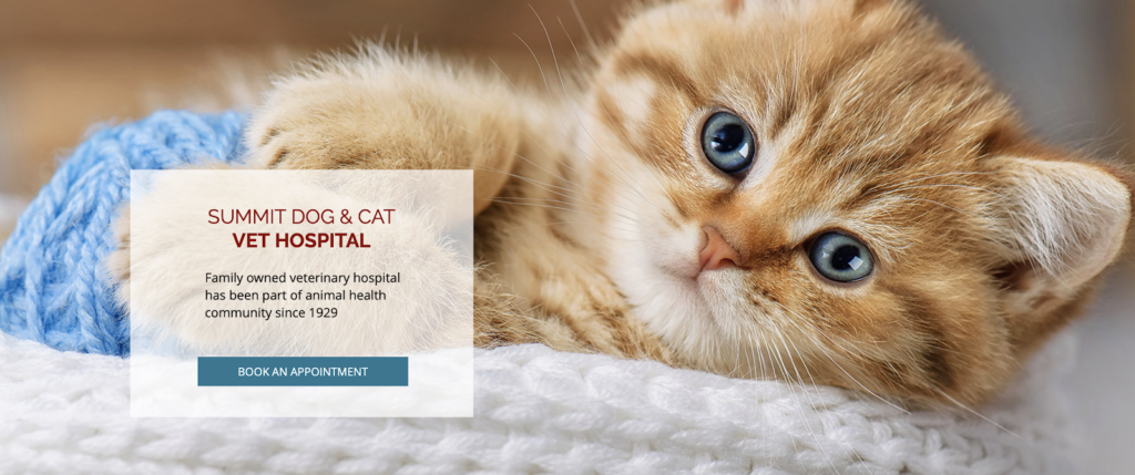 summit dog cat hospital 1 1024x429