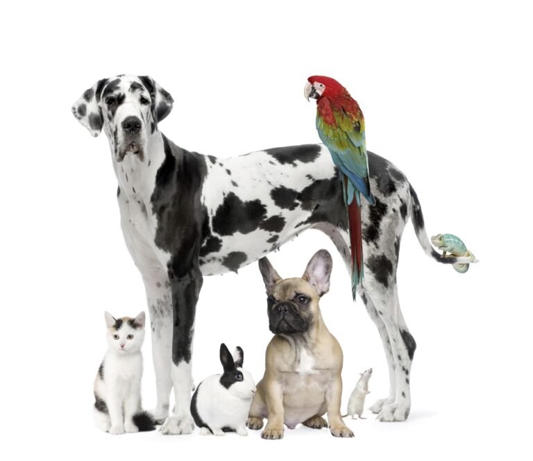 tarheel total pet care 2 768x664