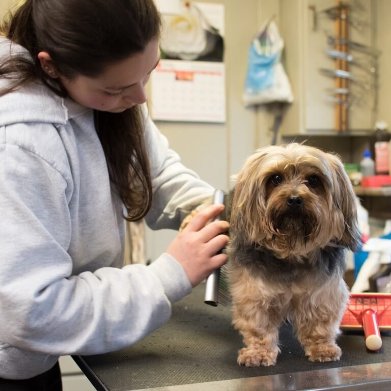 tarheel total pet care 3 768x768