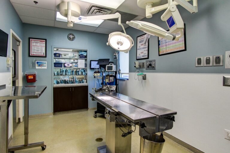 thrive pet healthcare urgent care 3 768x512