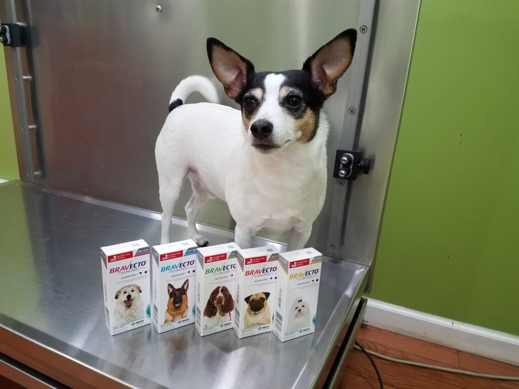totowa animal hospital 2 1024x768