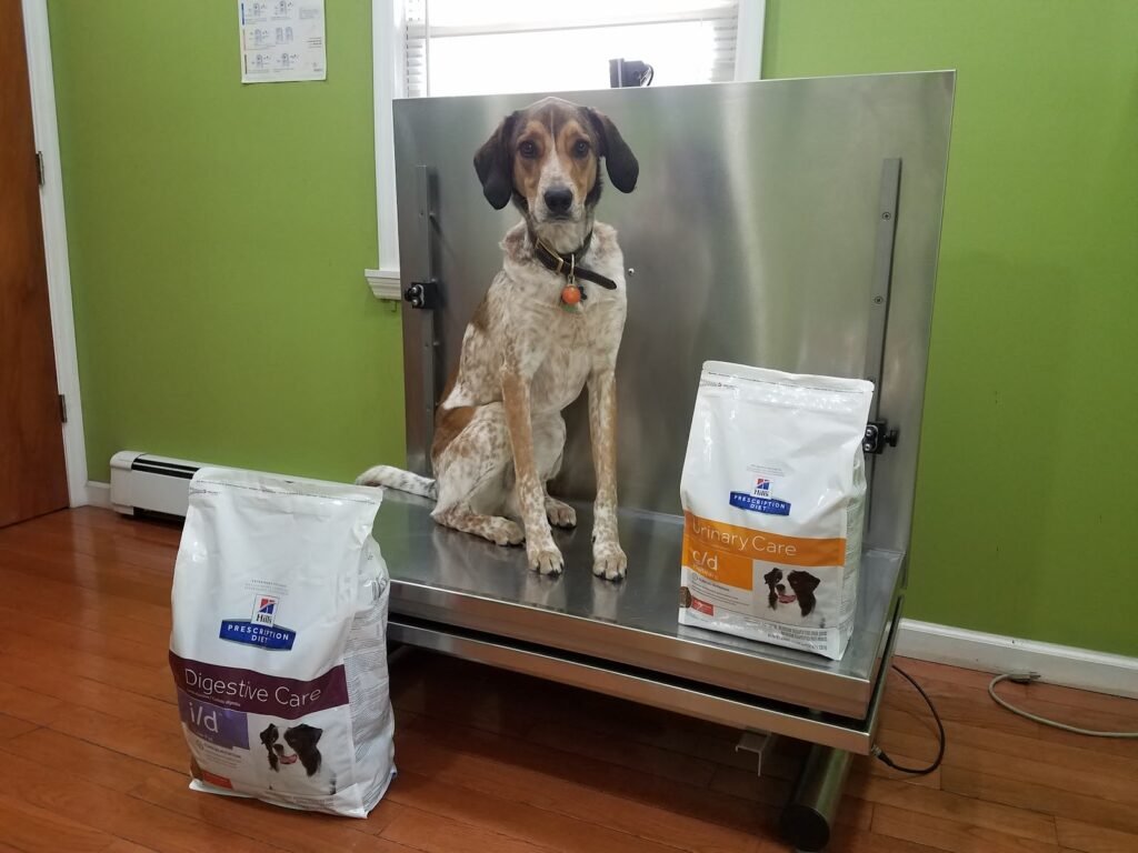 totowa animal hospital 4 1024x768