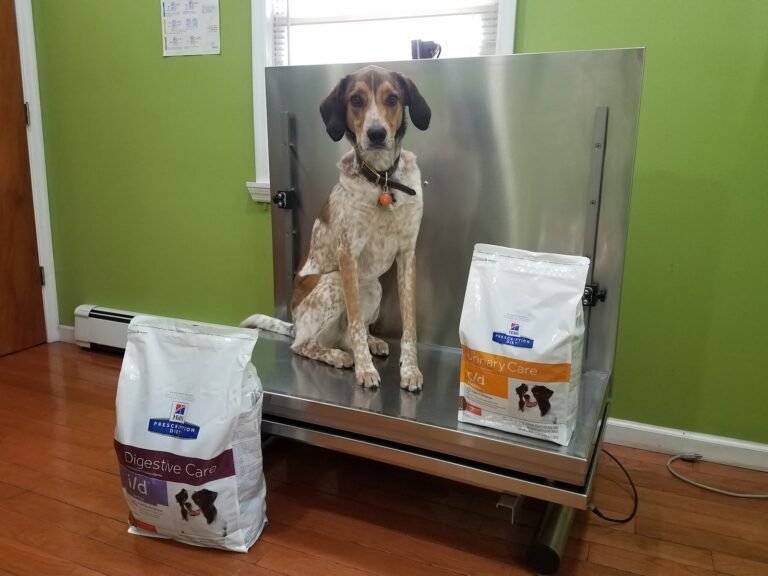 totowa animal hospital 4 768x576