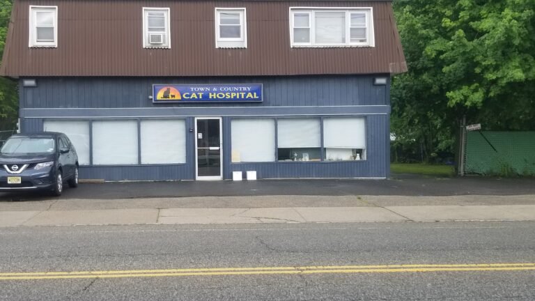town country veterinary cat hospital 1 768x432