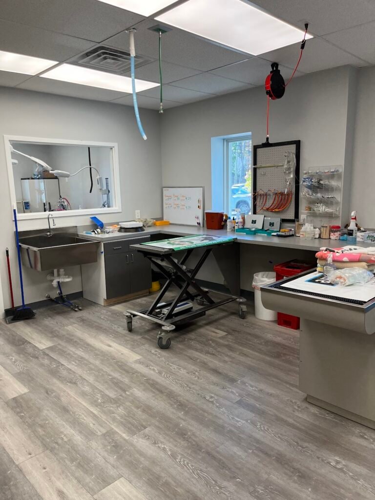 tri county animal hospital 3 1 768x1024