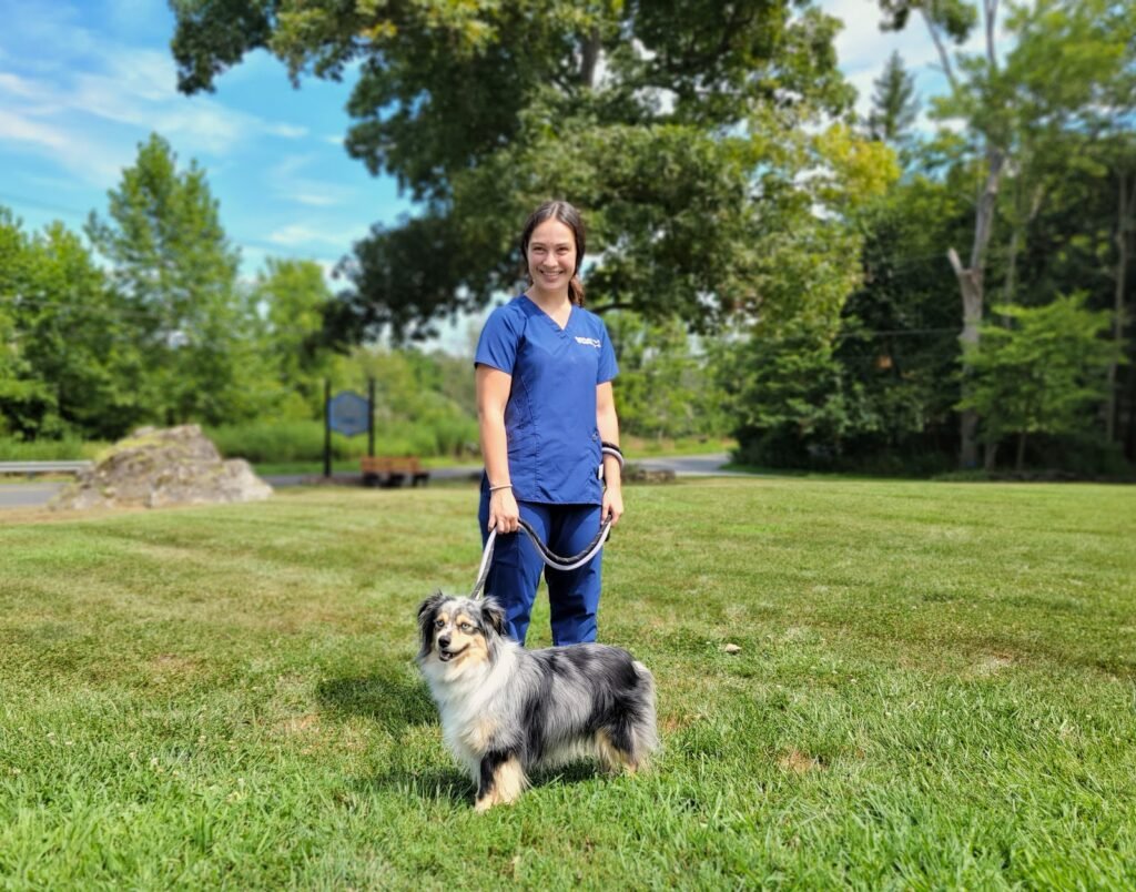 vca blairstown animal hospital 3 1024x804