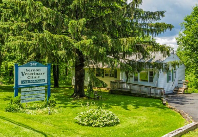 vernon veterinary clinic 2 768x533
