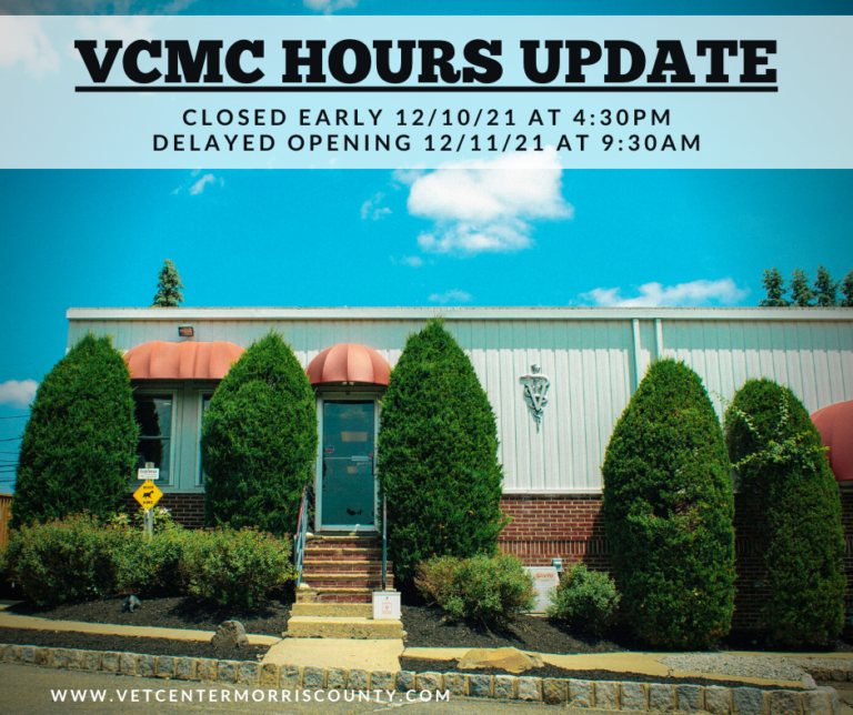 veterinary center of morris county 4 768x644