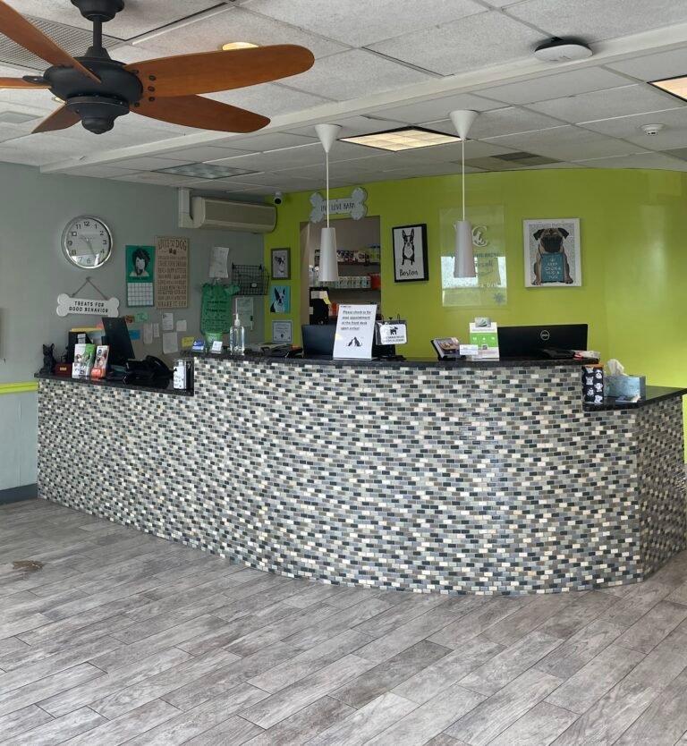 veterinary medical center 2 768x834