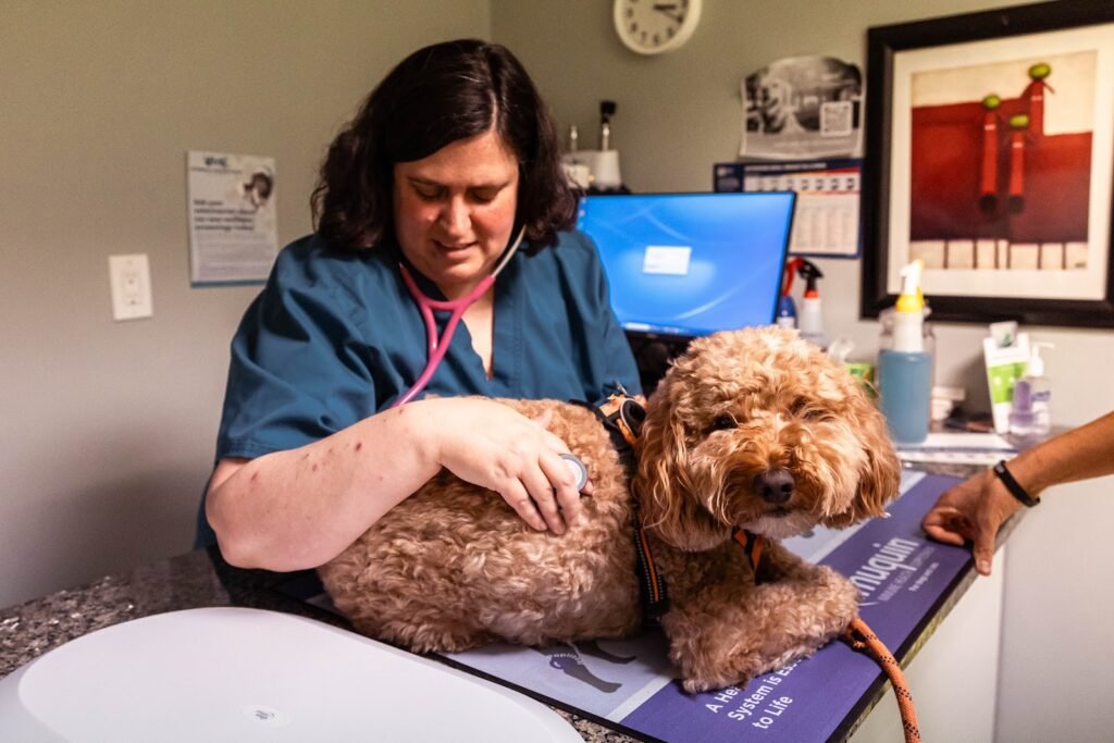 veterinary medical center 3 1024x683