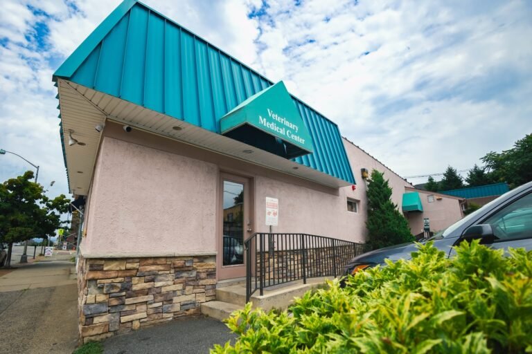 veterinary medical center 4 768x512