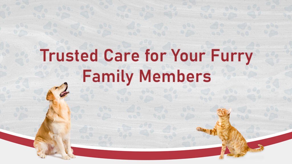 warren animal hospital 2 1024x576