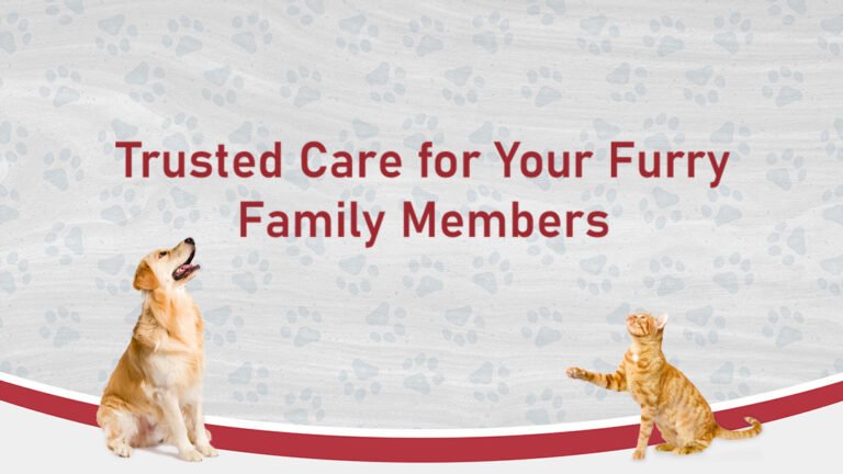 warren animal hospital 2 768x432