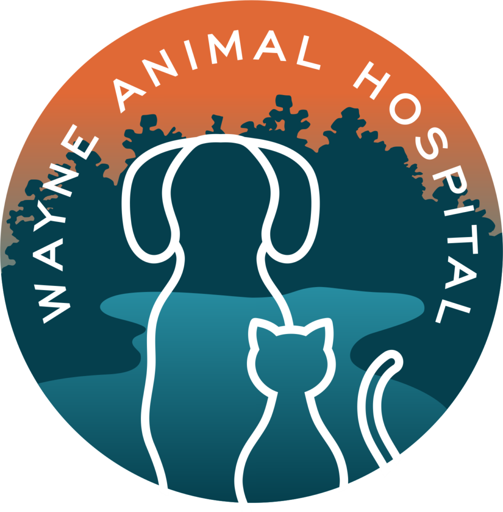 wayne animal hosptial 1006x1024